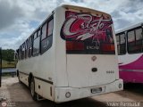 A.C.C. Caicara Amazonas 036