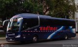 Buses Nueva Andimar VIP 701