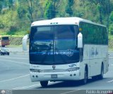 A.C. Mixta de Transporte T�chira M�rida R.L. 021