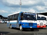 Transporte Virgen del Carmen 28