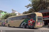 Transporte Flores Hermanos S.R.L (Per) 951
