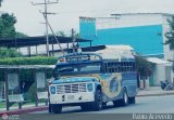 Transporte Colectivo Palo Negro 068
