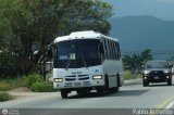 A.C. Mixta de Transporte Tchira Mrida R.L. 0024