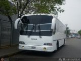 Particular 600