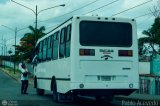 L�nea Altagracia 17 por Pablo Acevedo