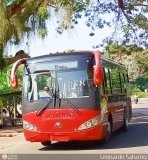 Bus Tchira 222 Yutong ZK6896HGA Yutong Integral ZK6896HGA