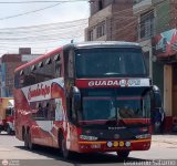 Empresa de Transporte Guadalupe Tours 960