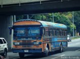 Transporte Colectivo Camag 10