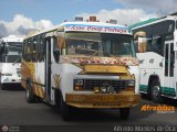 A.C. Pedraza 097 Fanabus Minimetro H Ford B-350