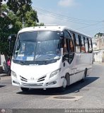 Organizacin Guaicamacuto 455