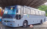 Santa Elena Express 120