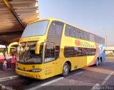Expresos Occidente 337