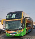 Expreso Internacional Palomino 712