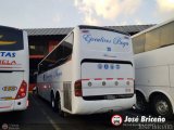 Ejecutivos Boga 29