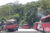 En Chiveras Abandonados Recuperacin 