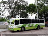 Expresos Continente C-27