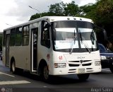 A.C. de Transporte N�mero Uno R.L. 048 por �ngel Sal�n