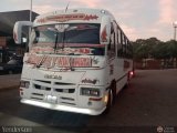 A.C. Transporte Paez 040