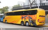 Transporte Clavellino 090, por Waldir Mata