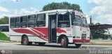 A.C. de Transporte Larense 29