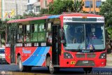 E.T. Palmari S.A. 811 por J. Carlos G�mez