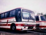 Expresos Alianza 501