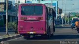 A.C. Transporte Campesino 40