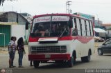 A.C. Cond. por Puesto El Angel del Llano 79 Fanabus BimboBus Chevrolet P31 Nacional