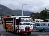A.C. Transporte Independiente 136