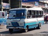 ZU - Colectivo Pomona 37