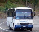 Unin Magdaleno A.C. 36 CAndinas - Carroceras Andinas Andino Urbano Grande Mitsubishi RP118