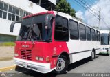 Organizaci�n Guaicamacuto 006
