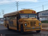 Particular 0011 Blue Bird Convencional No Integral International S-Series Schoolmaster