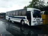 Transporte Chirgua 0004
