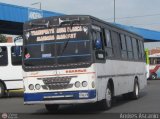 Transporte Agua Blanca 31, por Andrs Ascanio