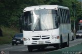 A.C. de Transporte Nmero Uno R.L. 049, por Pablo Acevedo