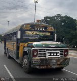 Transporte Palo Negro La Morita 2 029