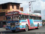 Transporte Palo Negro La Morita 2 014