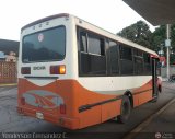 A.C. Expresos Barinas 124