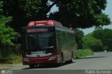Bus Gurico