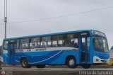 E.S.M. Nuevo Per 986 Apple Bus Carroceras Astro Iveco Tector 170E22T EuroCargo