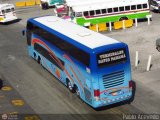 Terminales David Panam 51 Comil Campione DD Volvo B430R