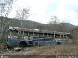 DC - Autobuses de El Manicomio C.A 10, por Alejandro Curvelo