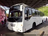 Expresos Maturn 366