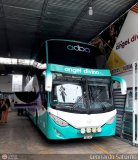 Tours Angel Divino S.A.C. (Per) 248