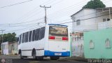 Particular 068