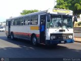 ZU - Colectivos Coraz�n de Jes�s 35