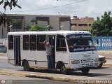 Colectivos Nueva Lucha 013