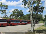Garajes Paradas y Terminales Caracas Yutong ZK6831HE Integral Cummins ISDe 210Hp
