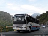 Colectivo Los Andes (Mrida - El Vigia) 35